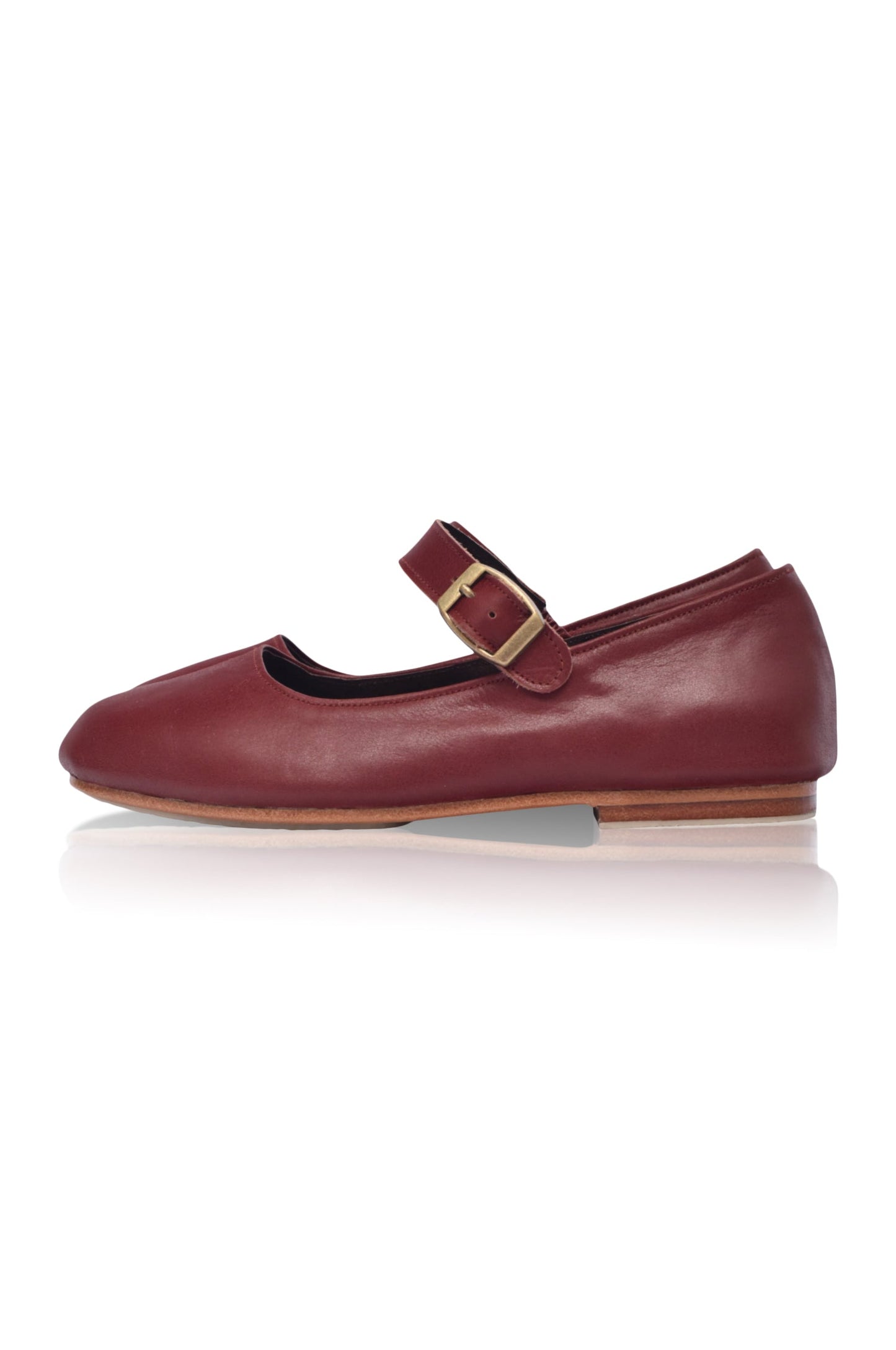 Isolde Mary Jane Leather Flats