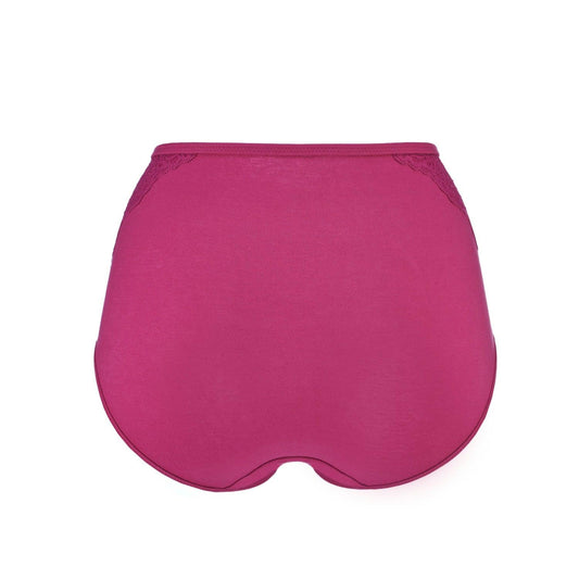 Aveline Silk & Pima Cotton High Waisted Brief