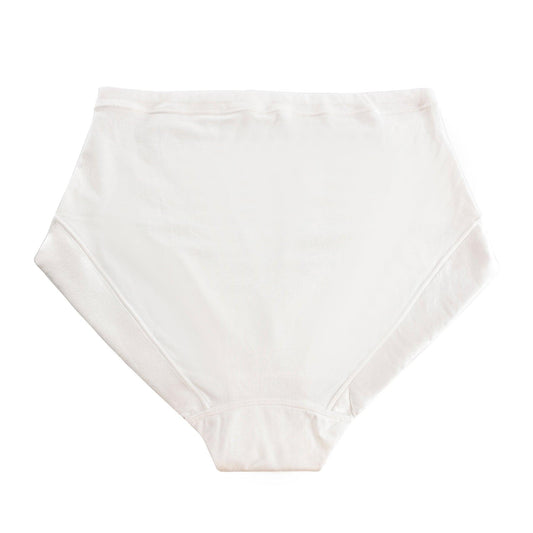 Tara Silk & Pima Cotton Brief