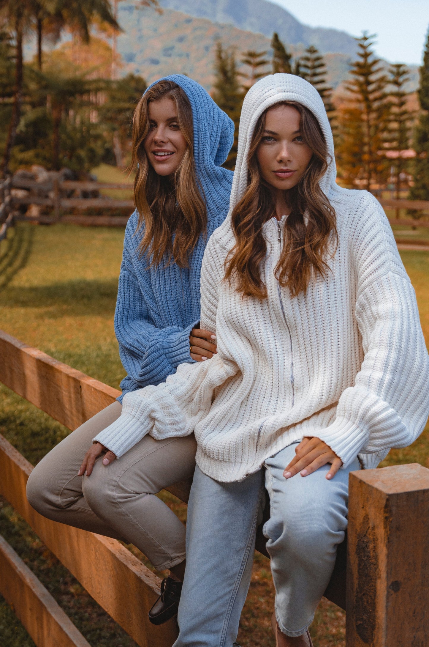 Bo Long Sleeve Hooded Sweater